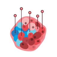 10x Genomics Map Cellular Relationships